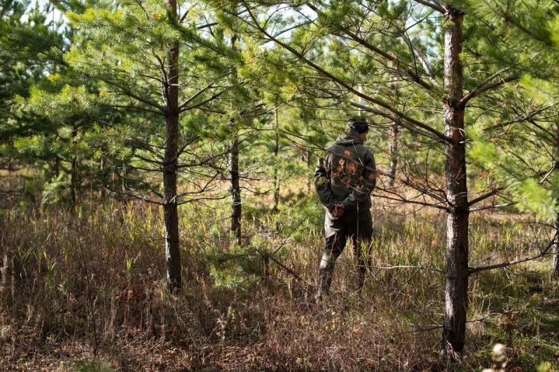 За прошедшие выходные в лесах Подмосковья заблудились 28 человек | Новости Московской области | Подмосковья 