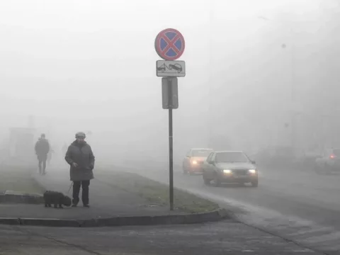 Желтый уровень опасности объявили в Подмосковье из-за тумана на утро 22 октября | Новости Московской области | Новости Подмосковья 