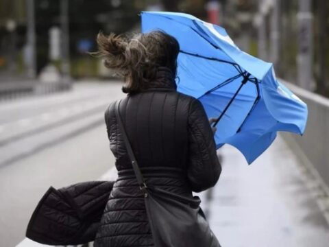 Погода в Московской области: сильный ветер, предупреждение МЧС | Новости Московской области | Новости Подмосковья 