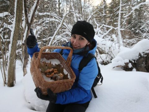Зимний сезон охоты на грибы открылся в Московской области | Новости Московской области | Новости Подмосковья 