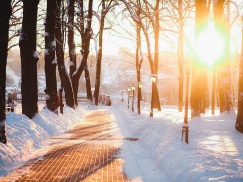 Метеорологи подсчитали количество солнечных часов в Подмосковье этой зимой | Новости Московской области | Новости Подмосковья 
