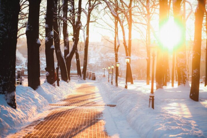Метеорологи подсчитали количество солнечных часов в Подмосковье этой зимой | Новости Московской области | Подмосковья 