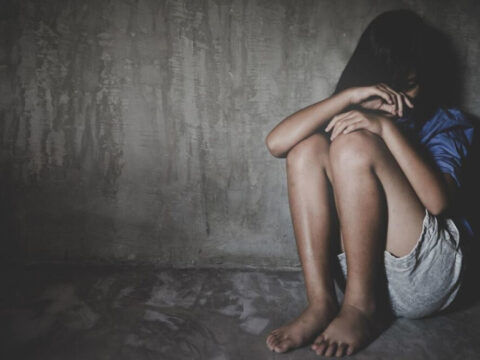 12-летняя девочка в Московской области стала жертвой педофилов | Новости Московской области | Новости Подмосковья 