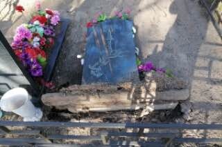 В Московской области подростки разгромили кладбище | Новости Московской области | Новости Подмосковья 