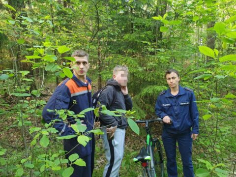 Подростка, заблудившегося в лесу в Московской области, нашли и вывели спасатели | Новости Московской области | Подмосковья 