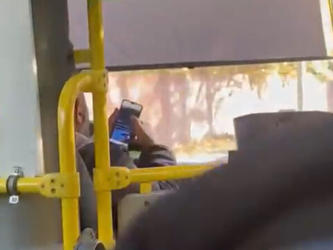 В Московской области водитель автобуса смотрел порно во время поездки | Новости Московской области | Новости Подмосковья 