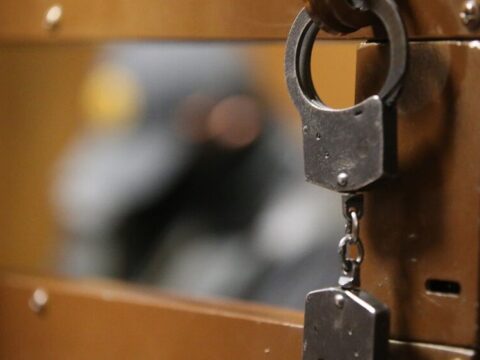 В Московской области задержали педофила | Новости Московской области | Новости Подмосковья 