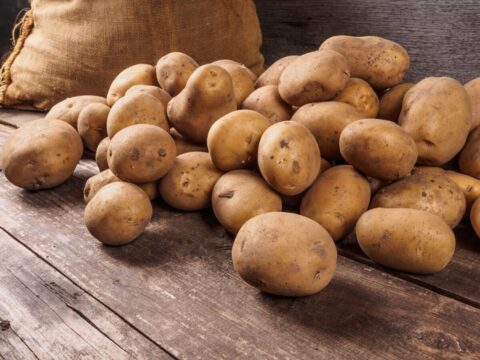 Подмосковные сорта картофеля признаны лучшими в России | Новости Московской области | Новости Подмосковья 