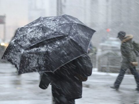 Сегодня в Московской области ожидаются  дождь, мокрый снег и сильный ветер | Новости Московской области | Новости Подмосковья 