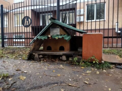 Житель Подмосковья строит домики для бездомных кошек | Новости Московской области | Новости Подмосковья 
