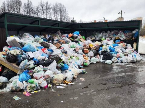Причины мусорных завалов в Подмосковье объяснены | Новости Московской области | Новости Подмосковья 