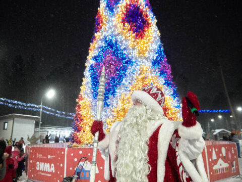 В Подмосковье установили около 500 новогодних ёлок | Новости Московской области | Новости Подмосковья 