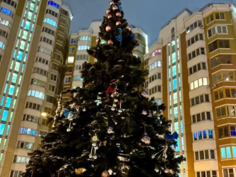 Самую нарядную Новогоднюю елку выберут в Московской области | Новости Московской области | Новости Подмосковья 