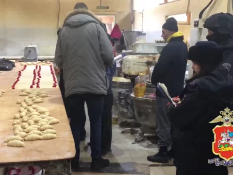 Нелегальные мигранты пекли хлеб в Московской области | Новости Московской области | Новости Подмосковья 