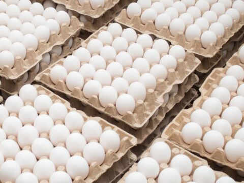 Все турецкие яйца поступили в магазины Московской области | Новости Московской области | Новости Подмосковья 