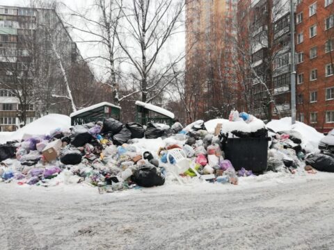 Вывоз мусора в Подмосковье обещают наладить через месяц | Новости Московской области | Новости Подмосковья 