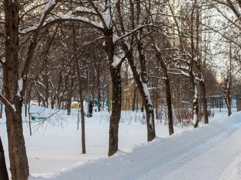 В Подмосковье минувшей ночью ударили 20‑градусные морозы | Новости Московской области | Новости Подмосковья 