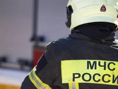 В Комитете лесного хозяйства Московской области назвали шесть наиболее пожароопасных районов | Новости Московской области | Новости Подмосковья 