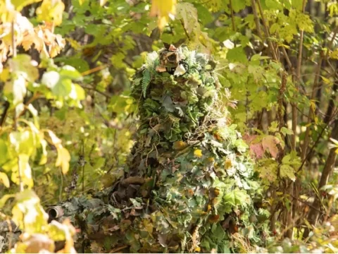 Подмосковный студент создал камуфляж, который делает его невидимым | Новости Московской области | Новости Подмосковья 