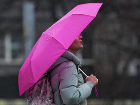 Дожди накроют Московскую область в воскресенье | Новости Московской области | Новости Подмосковья 