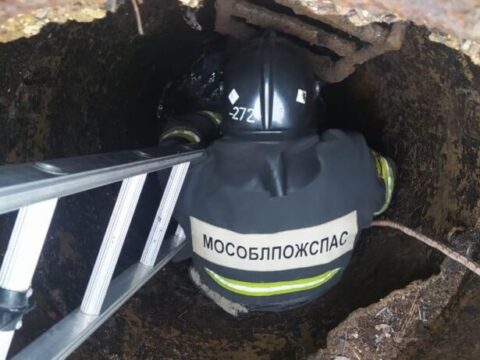 Подмосковные спасатели вытащили собаку из двухметрового колодца | Новости Московской области | Новости Подмосковья 