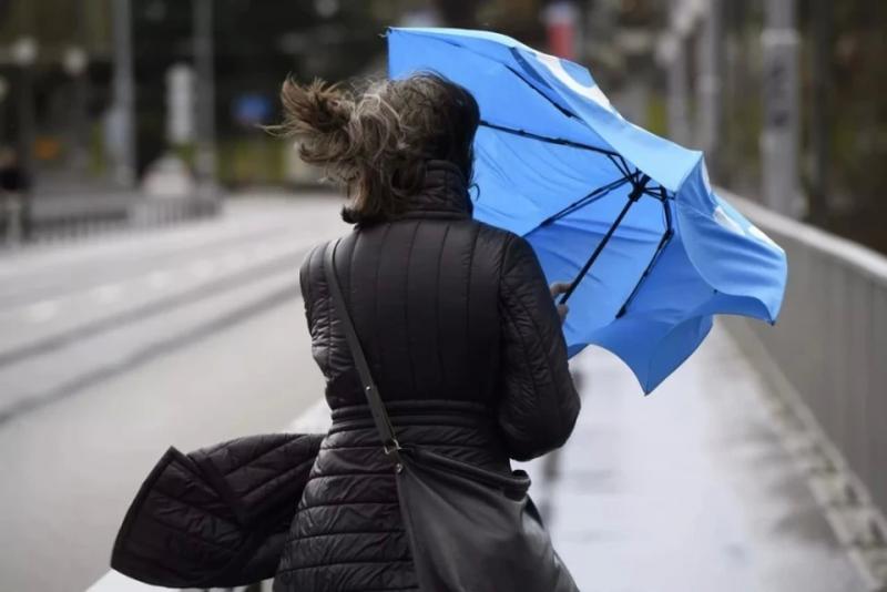 Погода в Московской области: сильный ветер, предупреждение МЧС | Новости Московской области | Подмосковья 